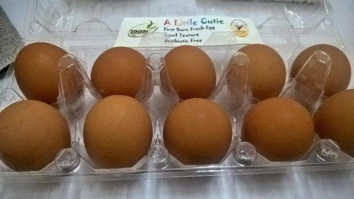 12380452_10208977032926001_555983660_n