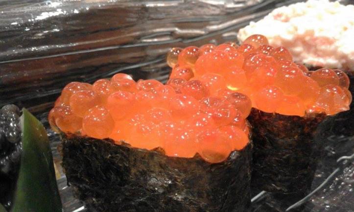 12782524_10208866585004872_1547479504_n