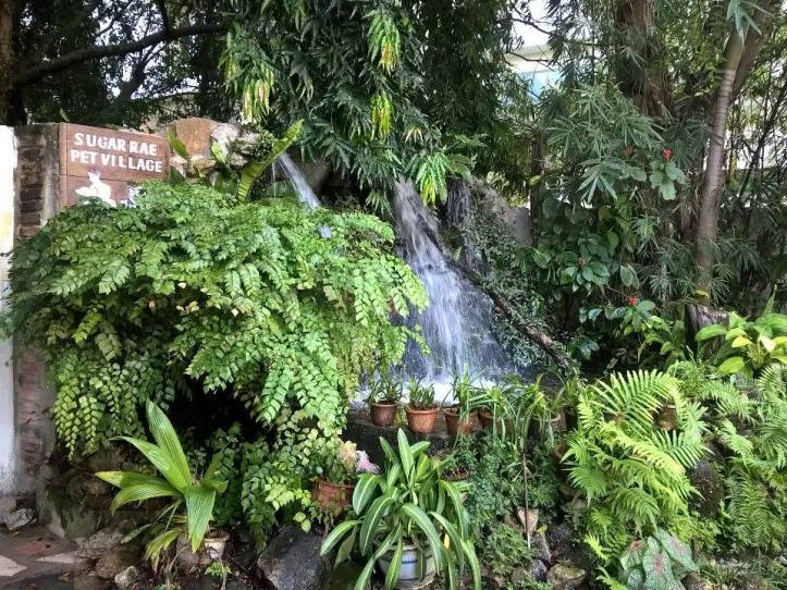 12804554_10208924310527974_1017343118_n