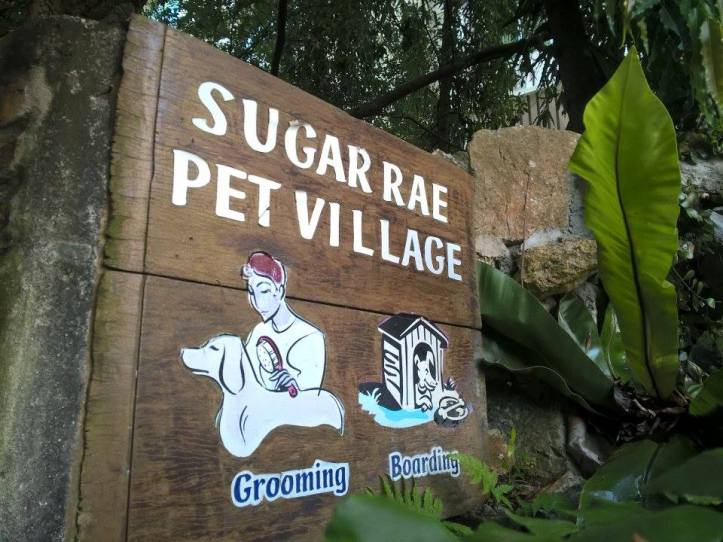 12834973_10208924310767980_558547946_n