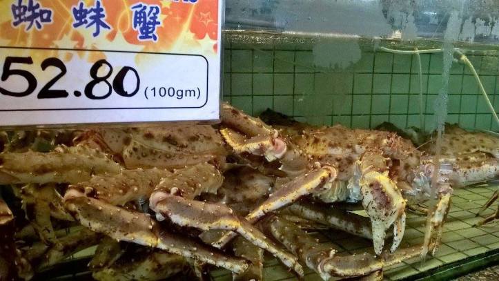 12910307_10209219107017702_1702368035_n (2).jpg