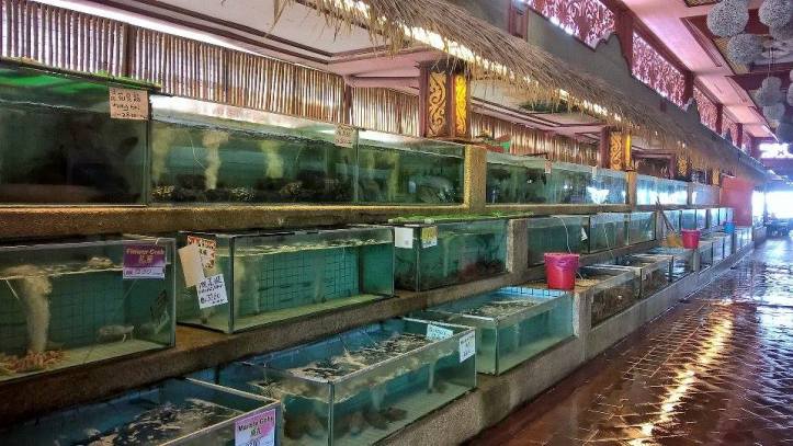 12910719_10209219106657693_224859401_n