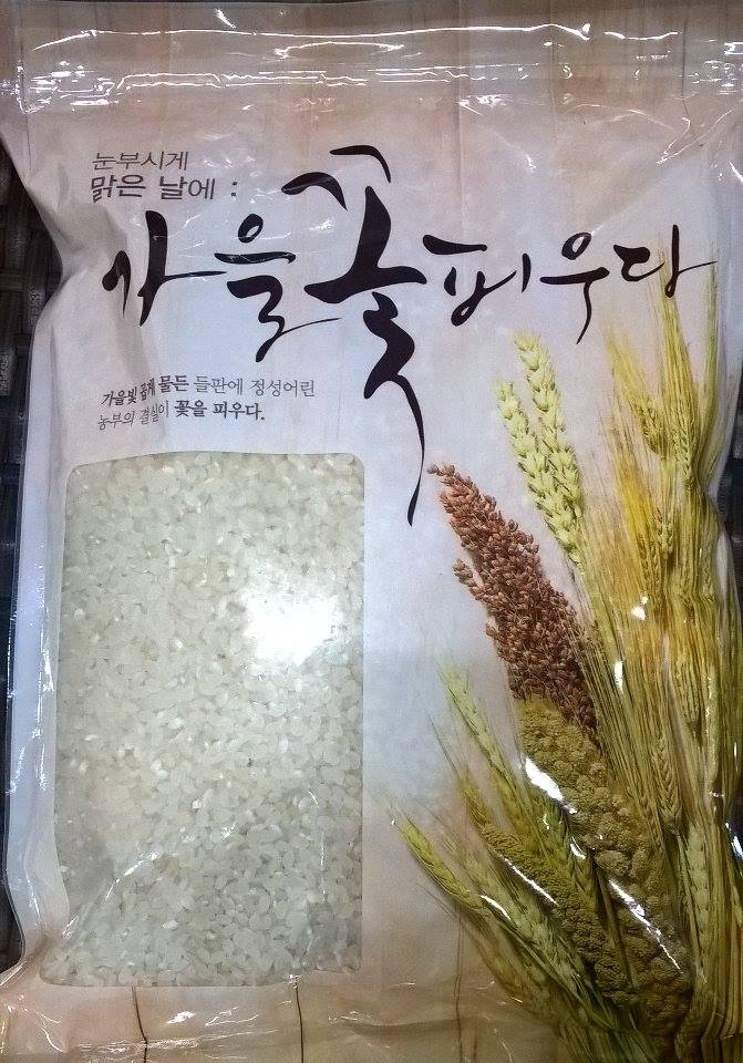 14249319_10210538674566066_1686886788_n