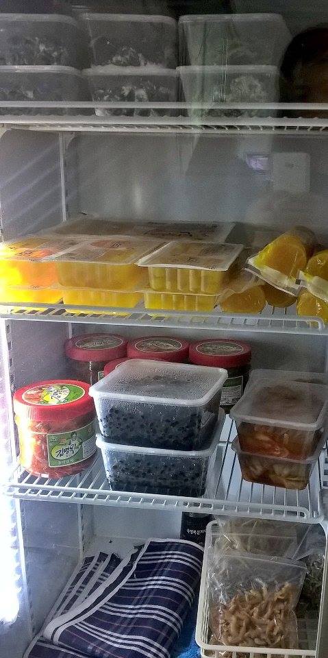 14281476_10210538679846198_188299568_n