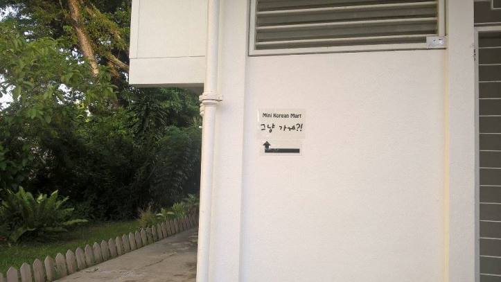 14302884_10210538682166256_867179828_n