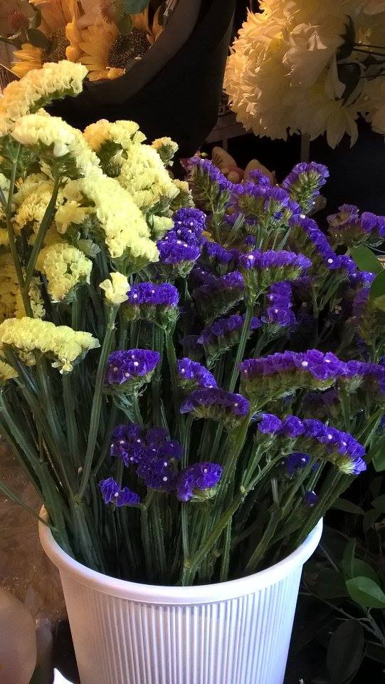 14914511_10211054473980729_1831507898_n