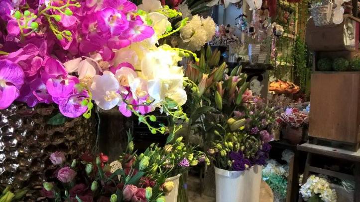 14914992_10211054474620745_812348493_n