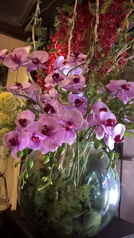 14937860_10211054474300737_109631341_n