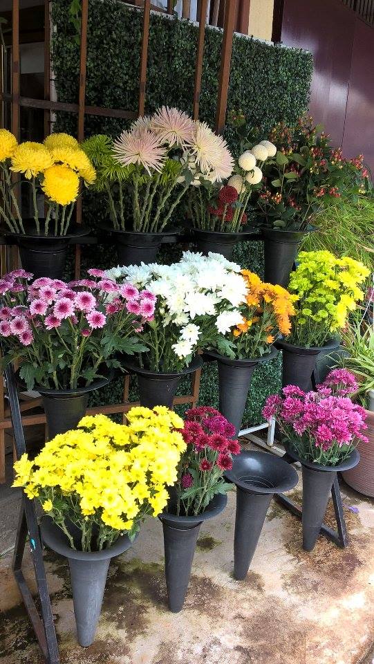 14937877_10211054462260436_1158523074_n