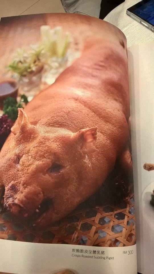 15822466_10211691978277938_1310268825_n