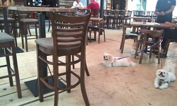 15841687_10211700562772545_2052568556_n