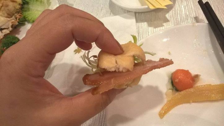 15841783_10211691964117584_1926520291_n