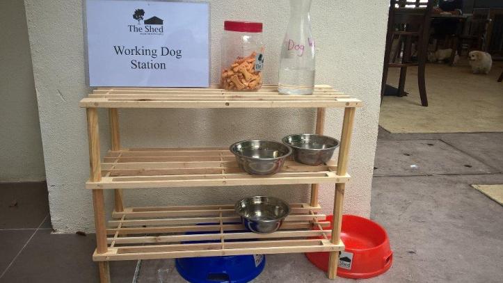 15870431_10211700563772570_117617902_n