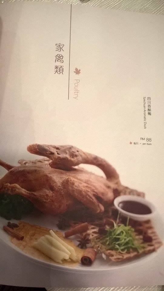 15870524_10211691977917929_528134608_n