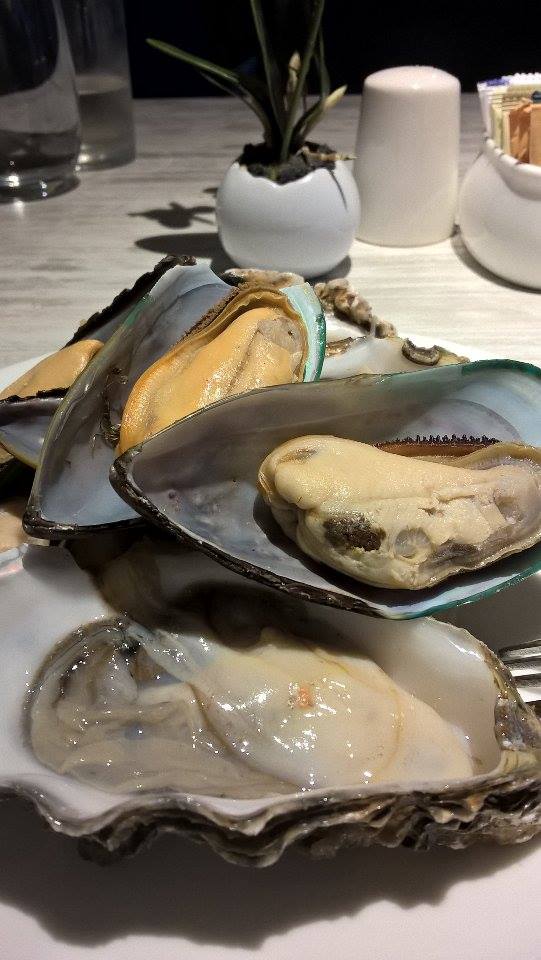 15871327_10211692463050057_190188144_n