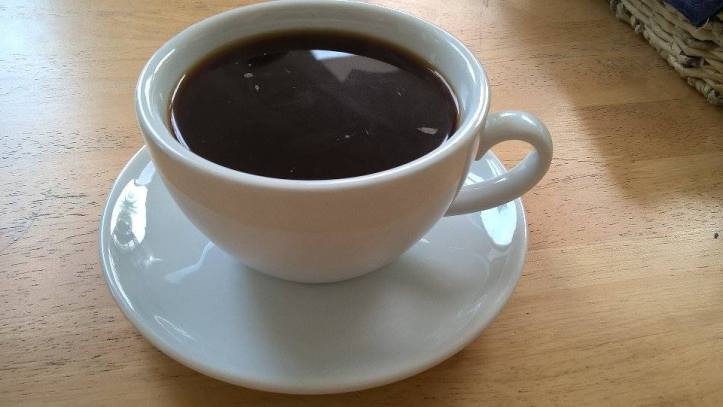 16441445_10211998326056441_404523414_n