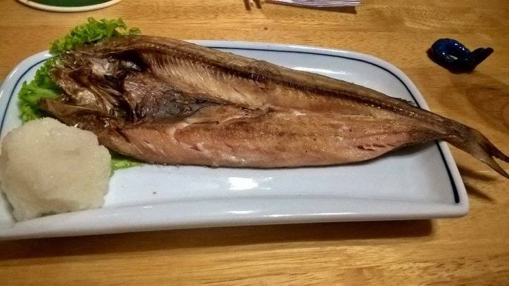 16699839_10212071406963418_2028212033_n