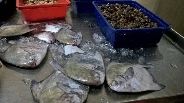 16706869_10212090756767151_322313051_n-2