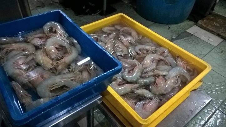 16706952_10212090761327265_529128384_n-2