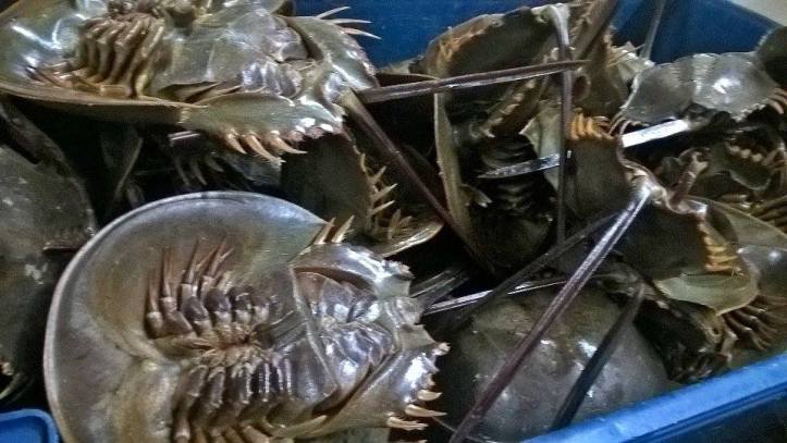 16729799_10212090758167186_474745908_n-2