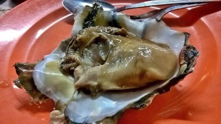 16730069_10212090753727075_1782248215_n-2