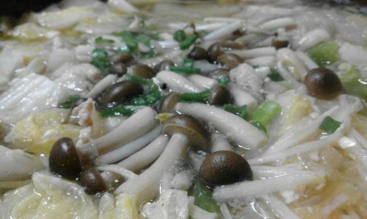 16732039_1848353672066144_590247305_o