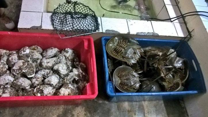 16735951_10212090757527170_2006863084_n-2