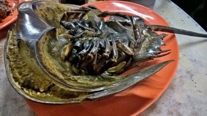 16736469_10212090751527020_1787237676_n-2