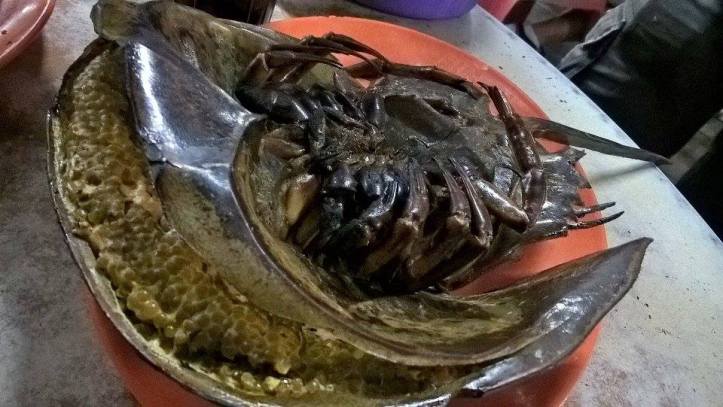 16736800_10212090750526995_743477926_n-2