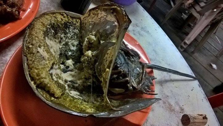 16754248_10212090748766951_44718885_n-2