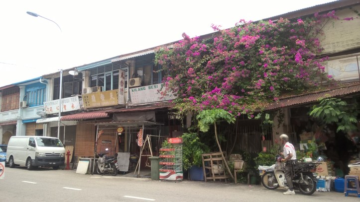 WP_20170403_13_15_19_Pro