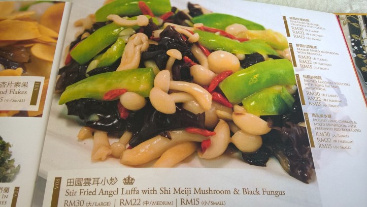 WP_20170417_12_53_48_Pro-1