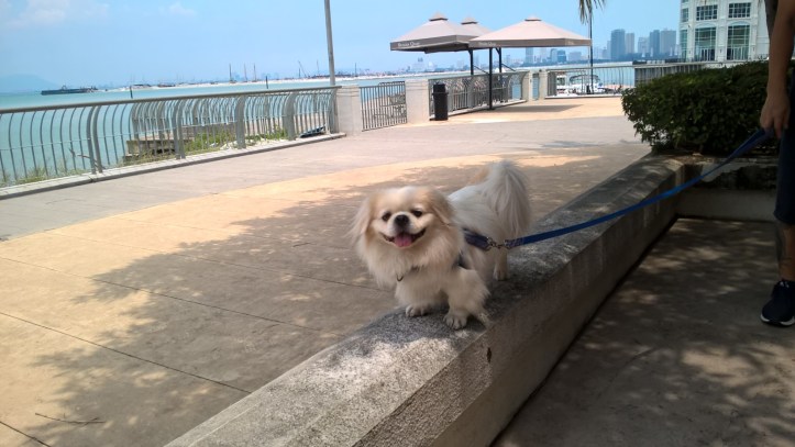 WP_20170417_13_44_52_Pro