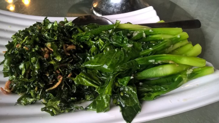 WP_20170507_18_41_24_Pro