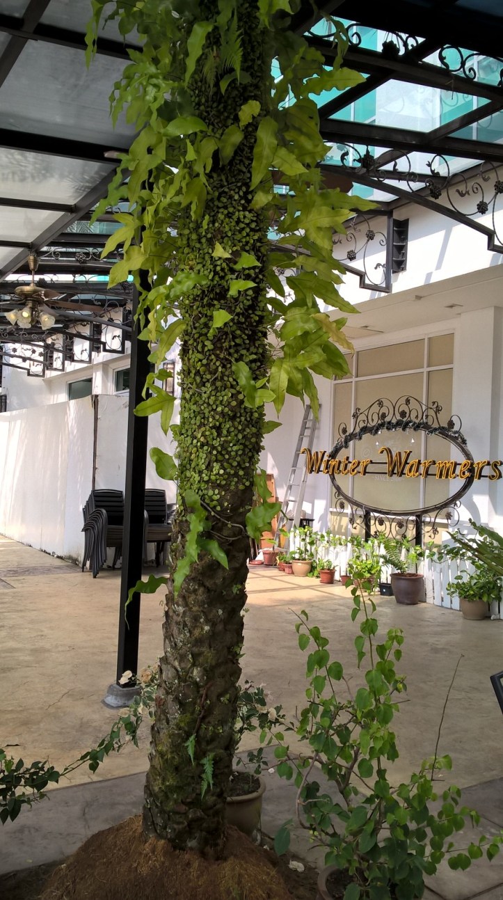 WP_20170529_11_04_05_Pro