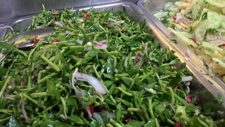 WP_20170718_11_58_12_Pro