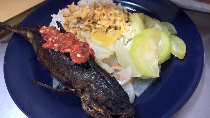 WP_20170718_12_03_24_Pro