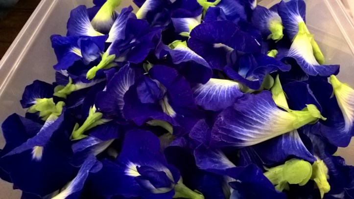 WP_20170819_20_13_20_Pro