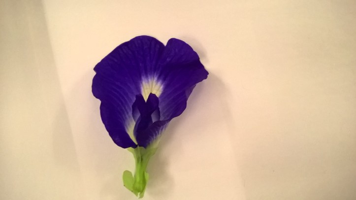 WP_20170819_20_13_27_Pro