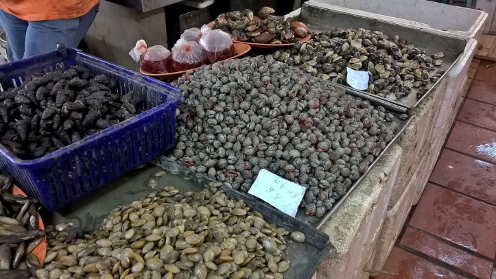 WP_20170823_14_14_56_Pro