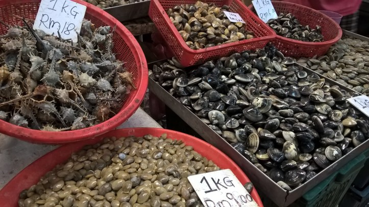 WP_20170823_14_15_18_Pro