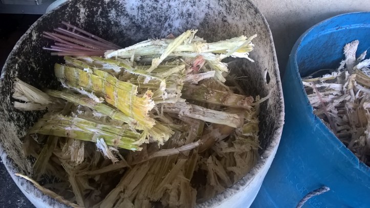 WP_20170823_14_37_20_Pro