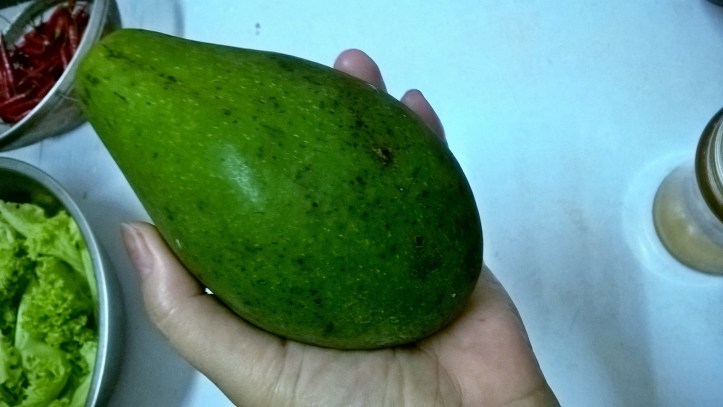 WP_20170826_19_34_32_Pro