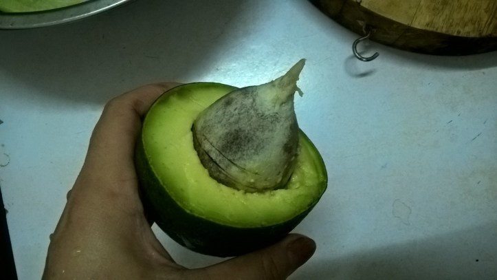 WP_20170826_19_35_47_Pro