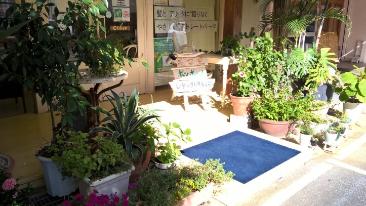 WP_20170906_16_01_44_Pro