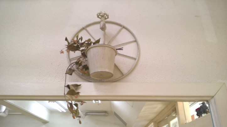 WP_20170906_16_50_38_Pro