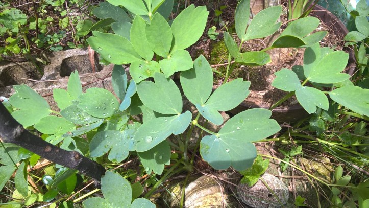 WP_20170908_10_59_11_Pro-1