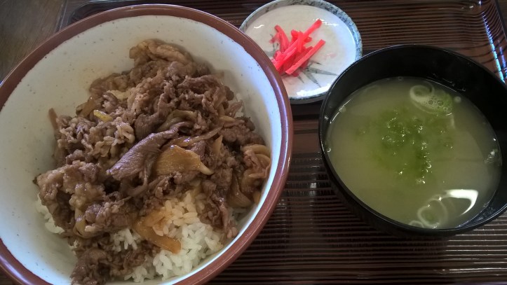 WP_20170908_13_01_56_Pro