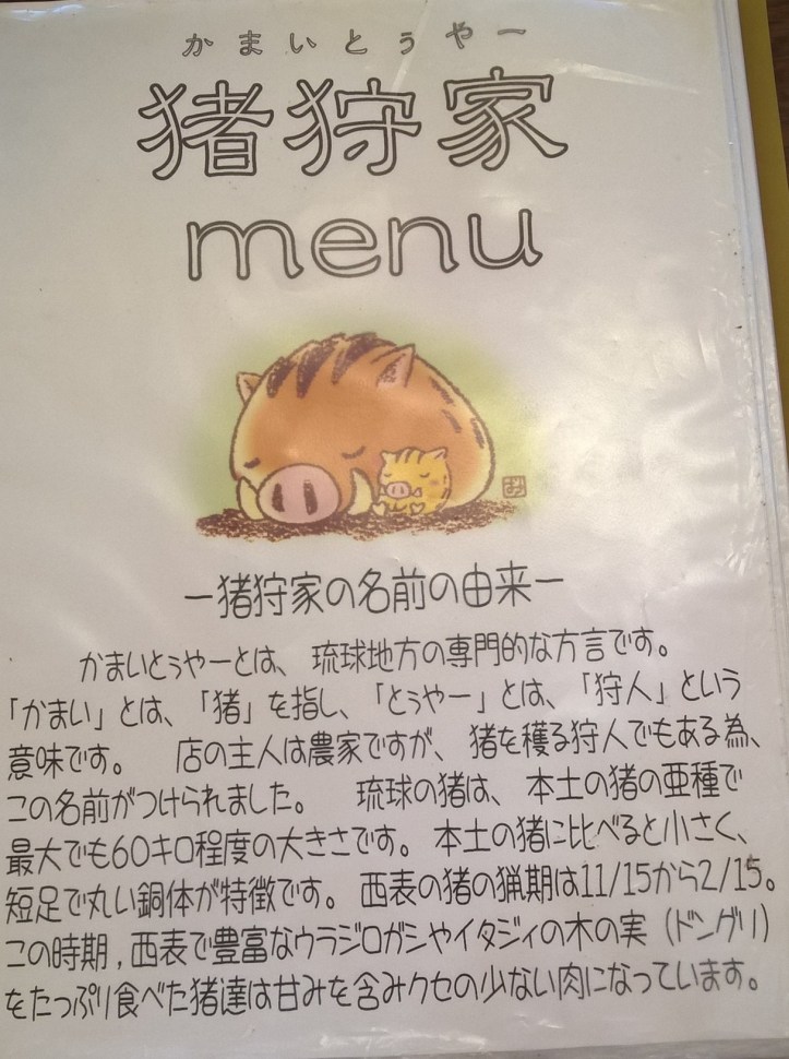 WP_20170908_13_18_30_Pro