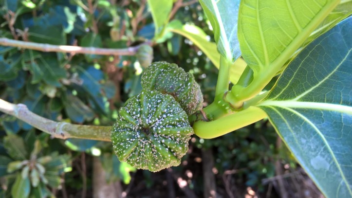 WP_20170909_12_34_53_Pro